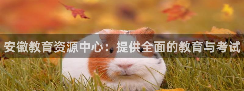 新宝m2O5O5O