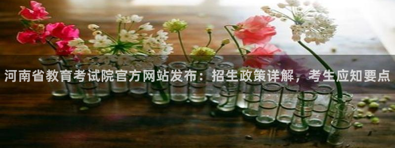 新宝5彩票娱乐平台