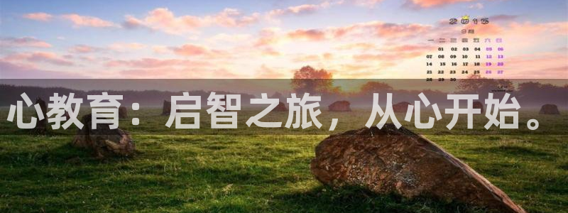 新宝5下载 迅雷下载
