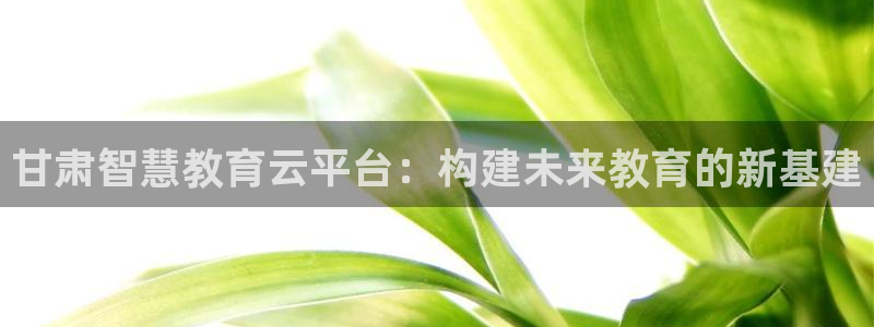 新宝6霸哥5