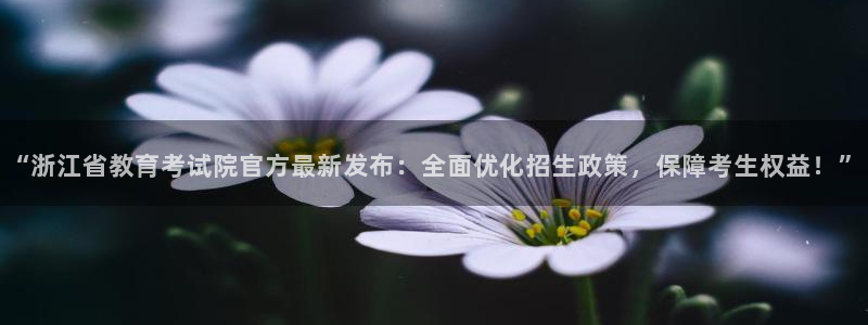 新宝5是谁的
