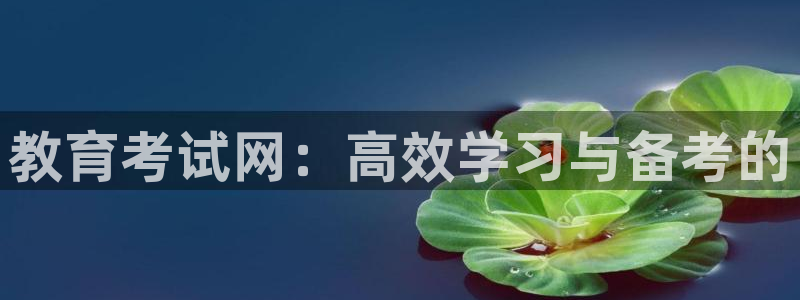 新宝股东瞧听2 5 5