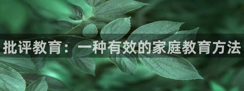 新宝5策略