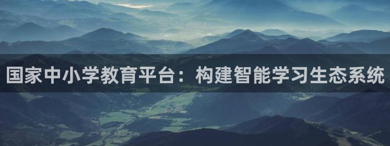 菲律宾新宝5老板