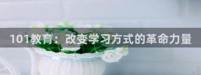 新宝5招商