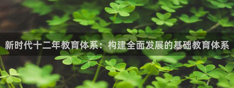 新宝5代理