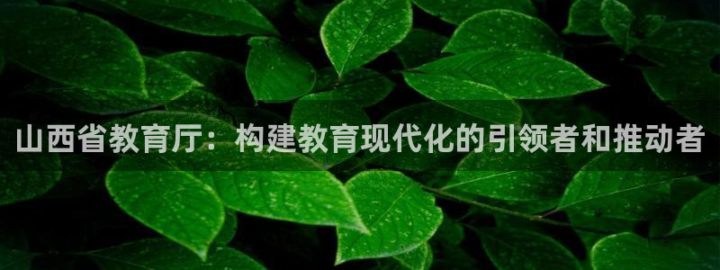 新宝5手机平台登陆