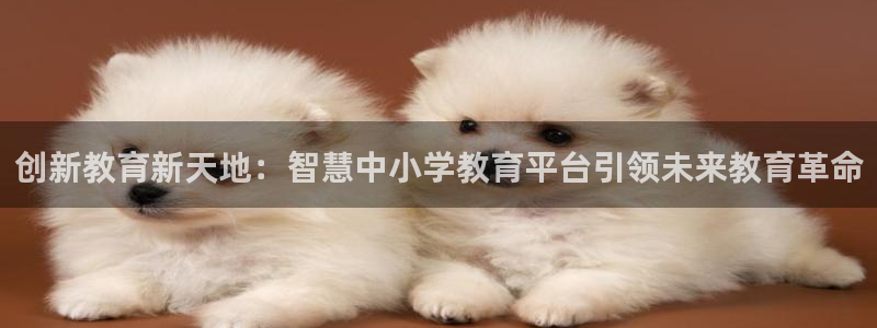 新宝5彩票娱乐平台