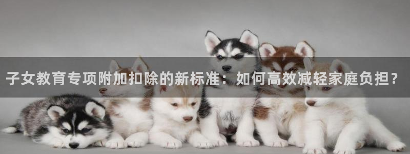 新宝5现在还能玩吗