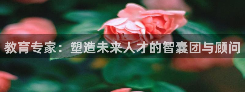 新宝5玩法