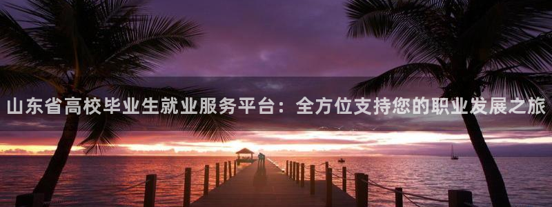 新宝堂新会陈皮5年
