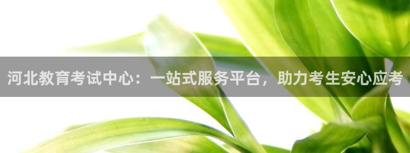 新宝5娱乐代理