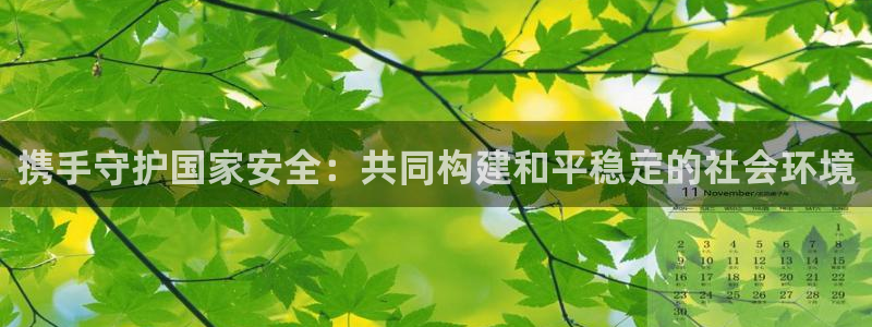 新宝5是谁