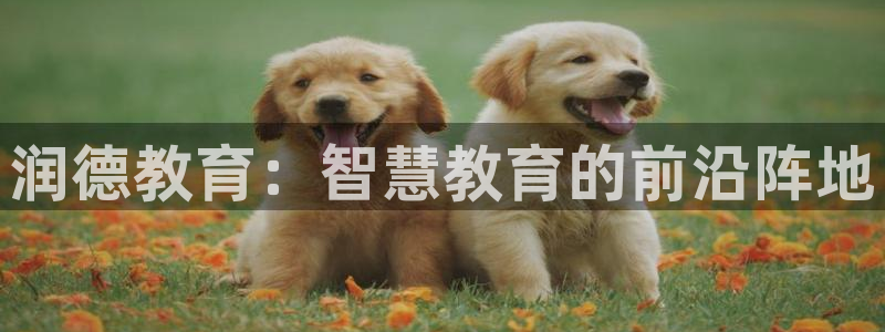 新宝5网站
