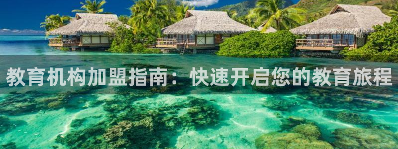 新宝5娱乐经
