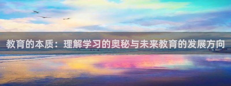 新宝5褚32OO59