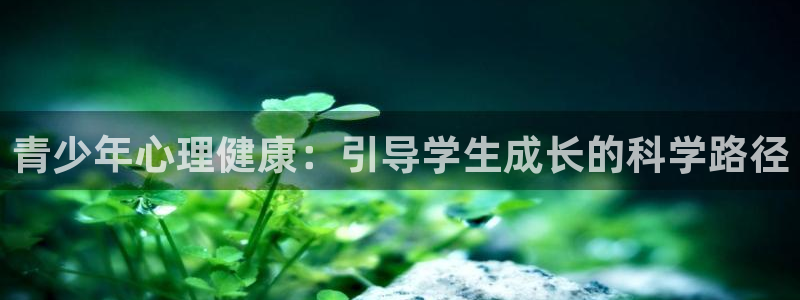新宝5是谁