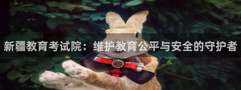 新宝5怎么代理