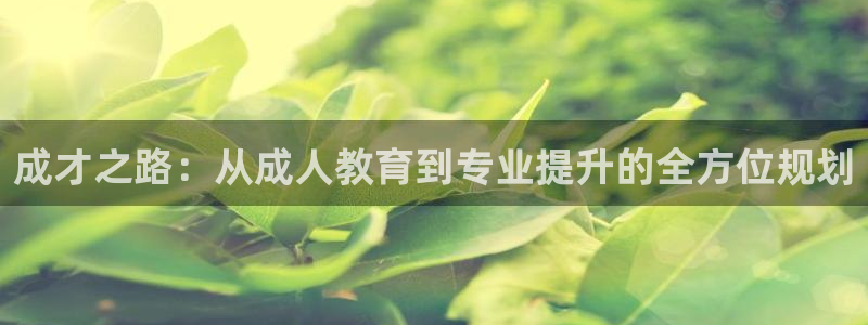 新宝cR一5
