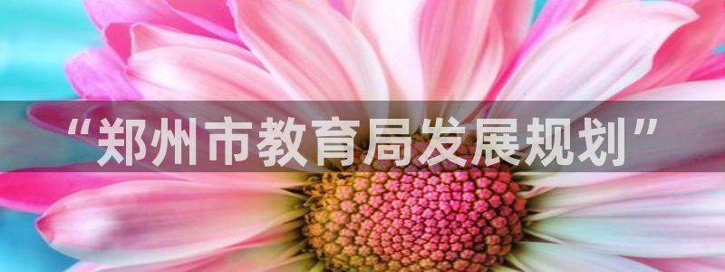 新宝5娱乐主管