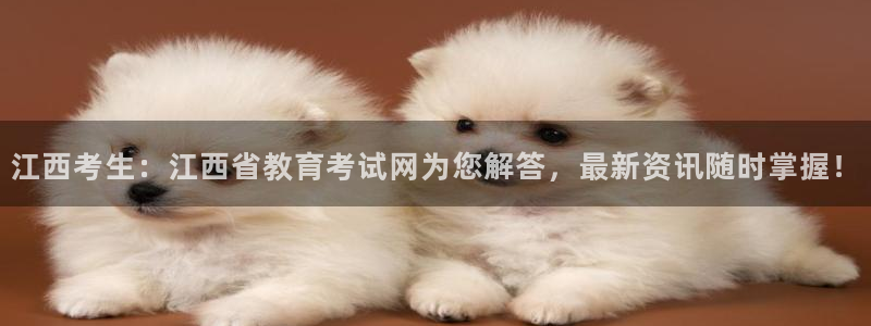 新宝5下载到桌面