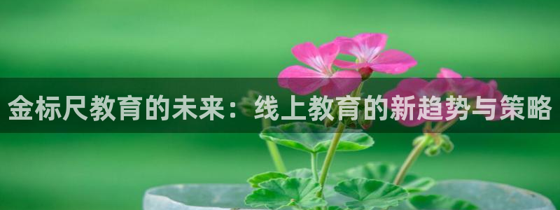 新宝5下载到桌面