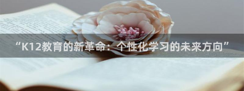 新宝股东王听2 5 5