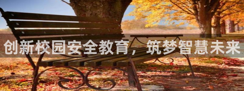 菲律宾新宝5老板