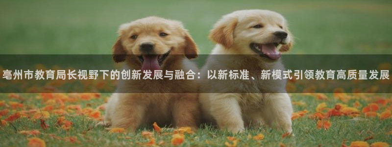 新宝5口67五壹叁八