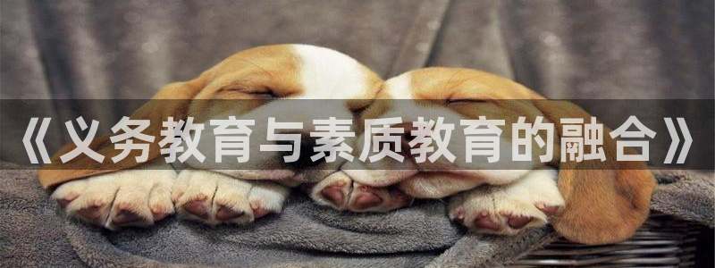 新宝5app手机下载