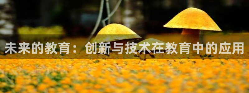 新宝5官方