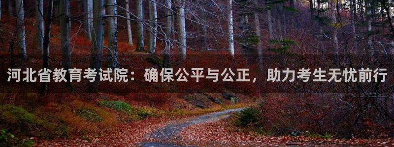 新宝5娱乐平台