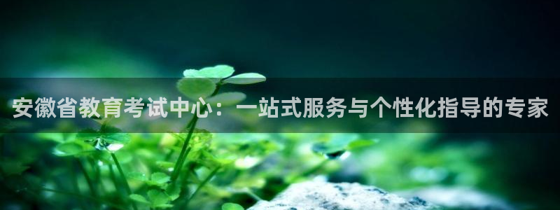 新宝5可靠吗