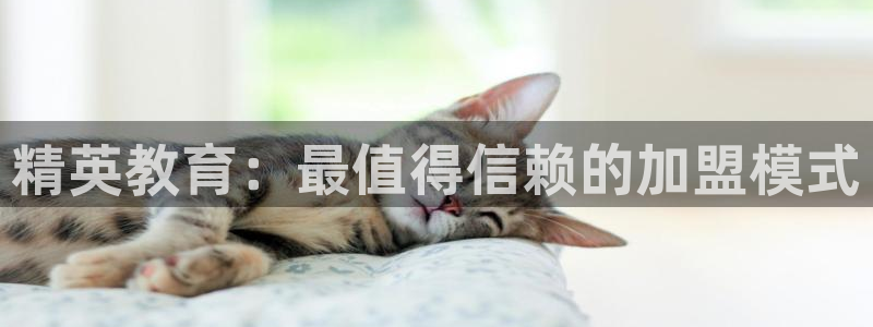 新宝5公司