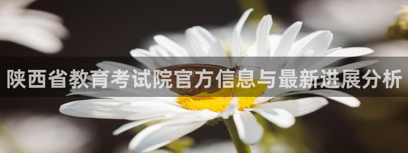 新宝5官方登录入口