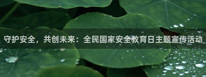新宝6霸哥5