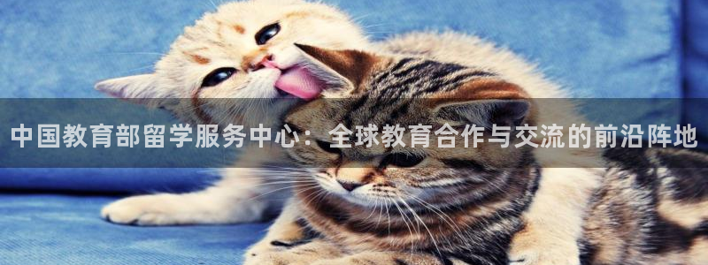 新宝5下载网址