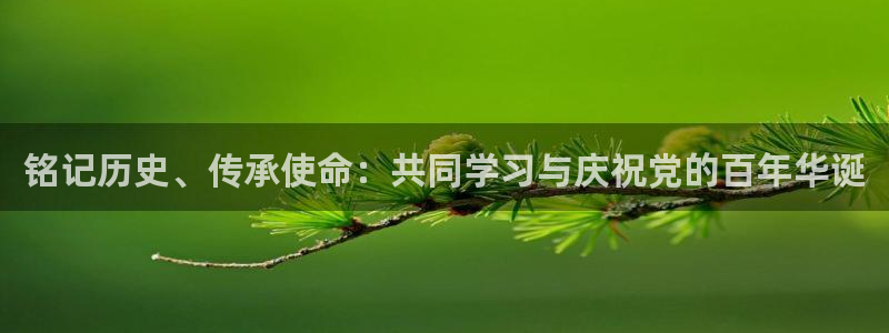 新宝5手机平台登陆